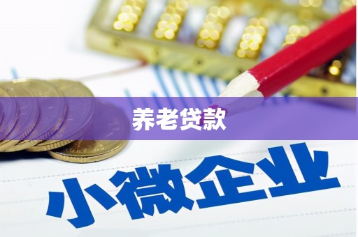 澜沧养老贷款