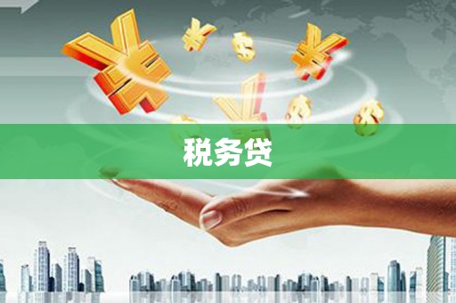保亭税务贷